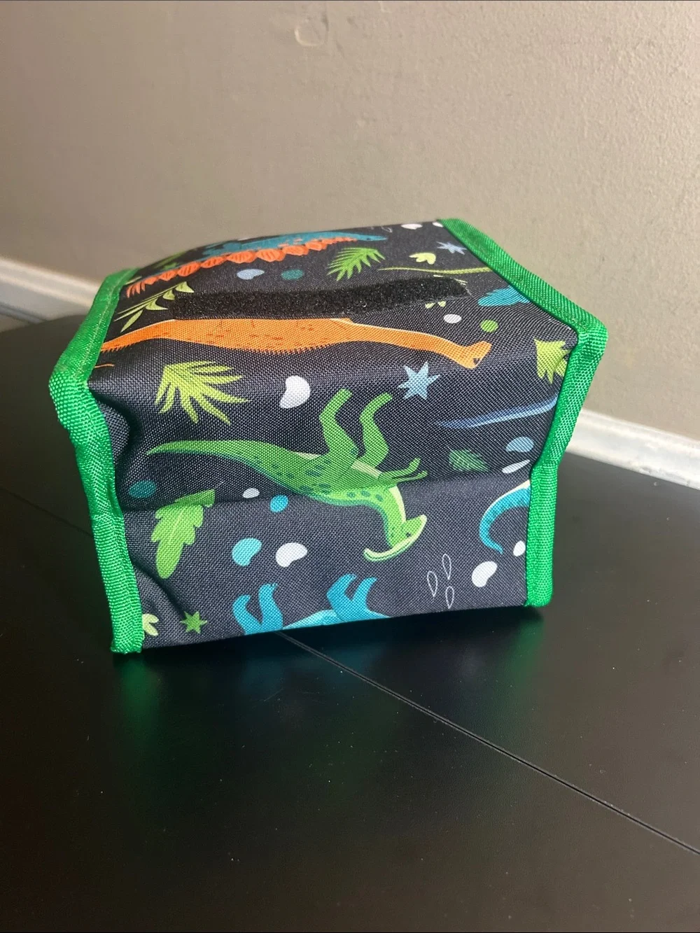 Dinosaur Print Kids Insulated Lunch Bag Dinosaur Friends New. 10”x7”